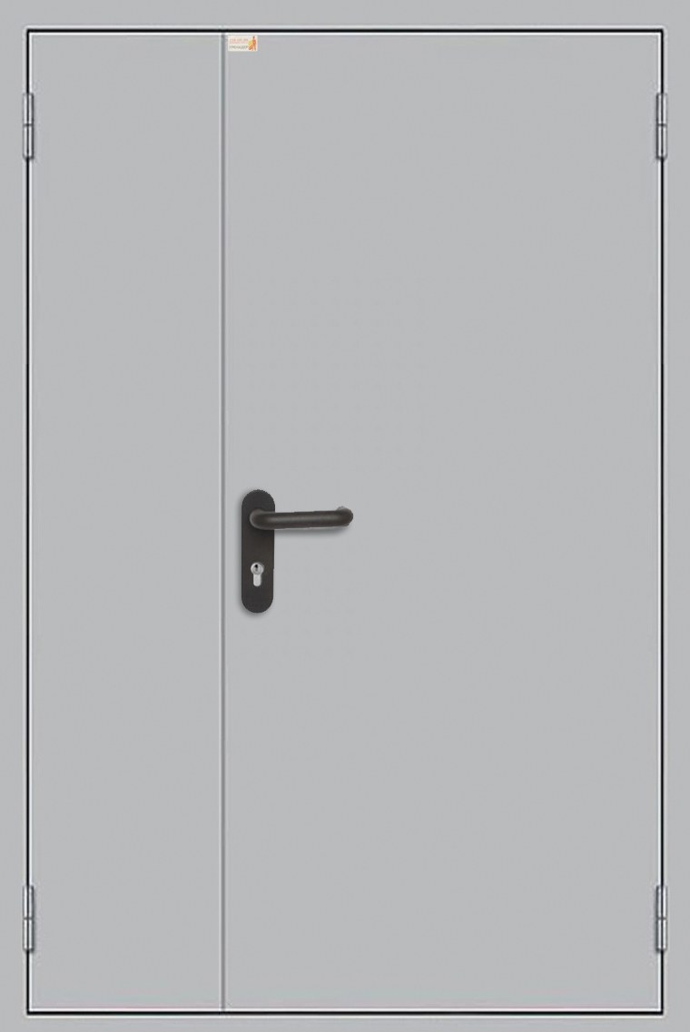 Противопожарная дверь Противопожарная дверь ДМП2-60Г